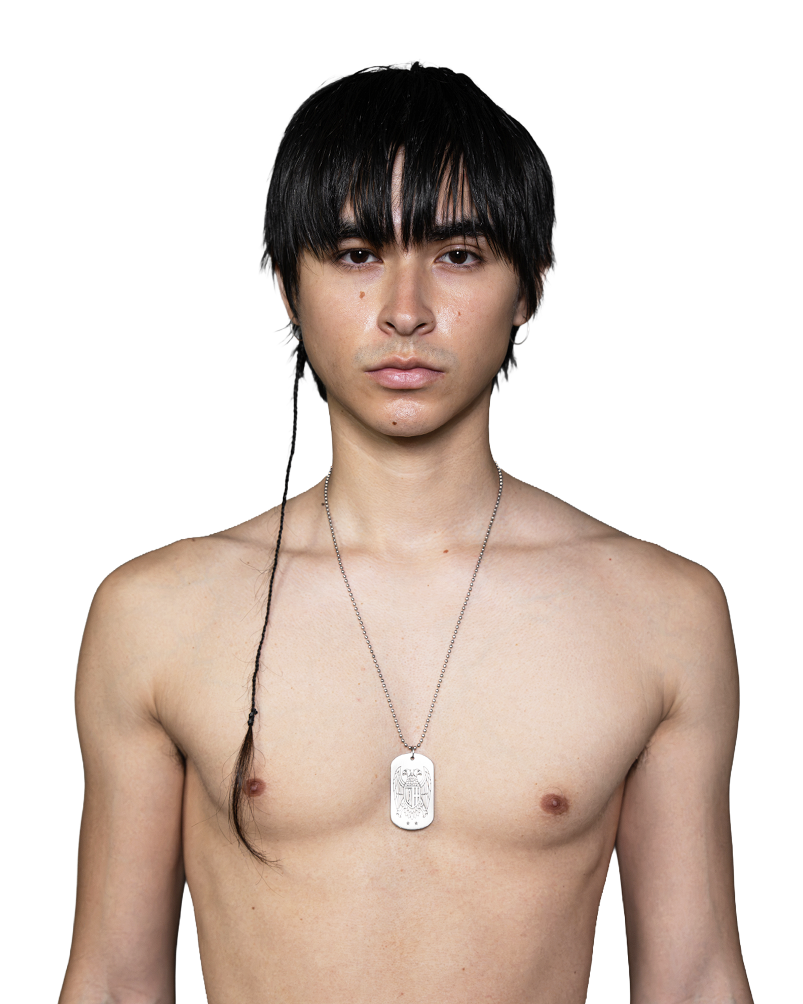 FAMILY CREST DOG TAG